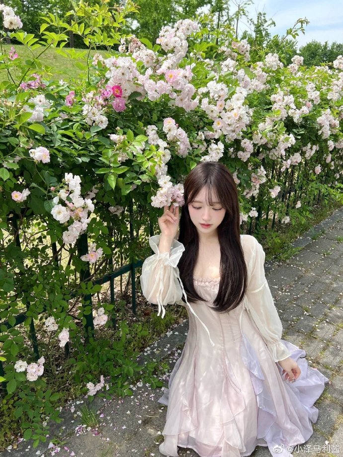 误杀3 封面